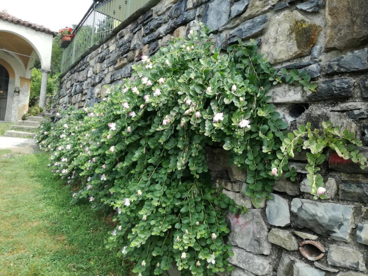 Balcone Dei Limoni Leilighet Nesso Eksteriør bilde
